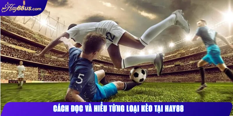 Kèo Bóng Đá Hay88 – Cách Đọc Hiểu Và Chơi Hiệu Quả Nhất 2 Cách đọc và hiểu từng loại kèo tại Hay88