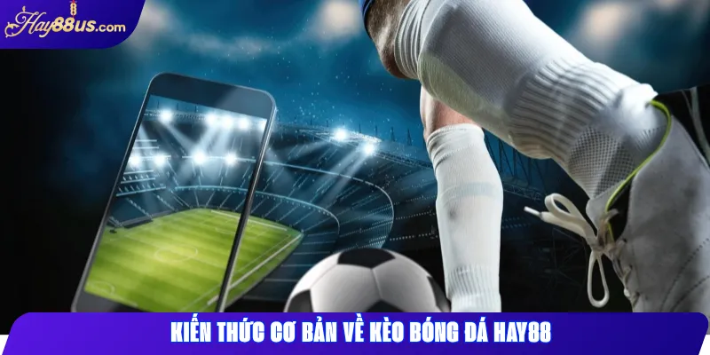 Kèo Bóng Đá Hay88 – Cách Đọc Hiểu Và Chơi Hiệu Quả Nhất 1 Kiến thức cơ bản về kèo bóng đá Hay88